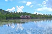 Mares Homestay, Pulau Pam, Raja Ampat
