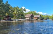Walking Shark Guest House, Pulau Gam, Raja Ampat