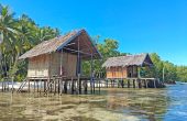 Walking Shark Guest House, Pulau Gam, Raja Ampat