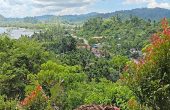Waisai Blessing Homestay, Waisai, Waigeo, Raja Ampat