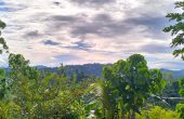 Waisai Blessing Homestay, Waisai, Waigeo, Raja Ampat