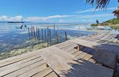 Seagrass Homestay, Pulau Pambemuk, Raja Ampat